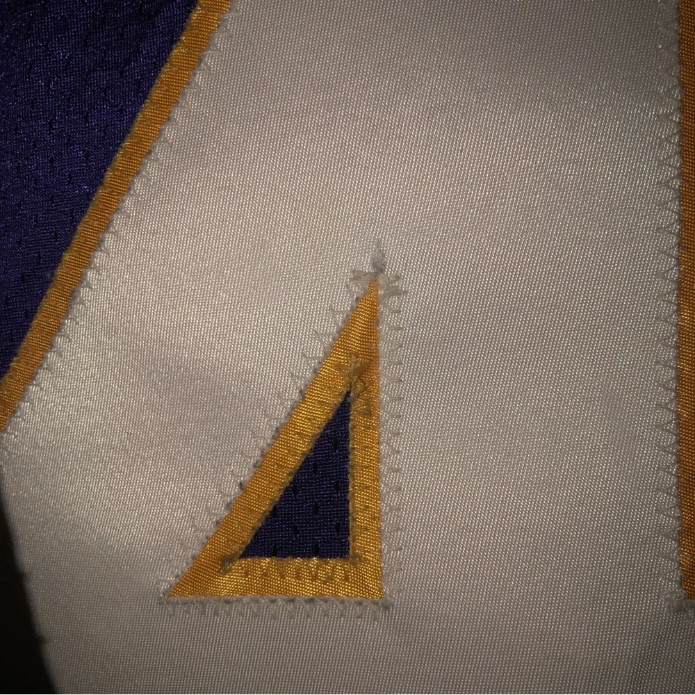 Wilcots Vikings Jersey - Picture 5 of 8